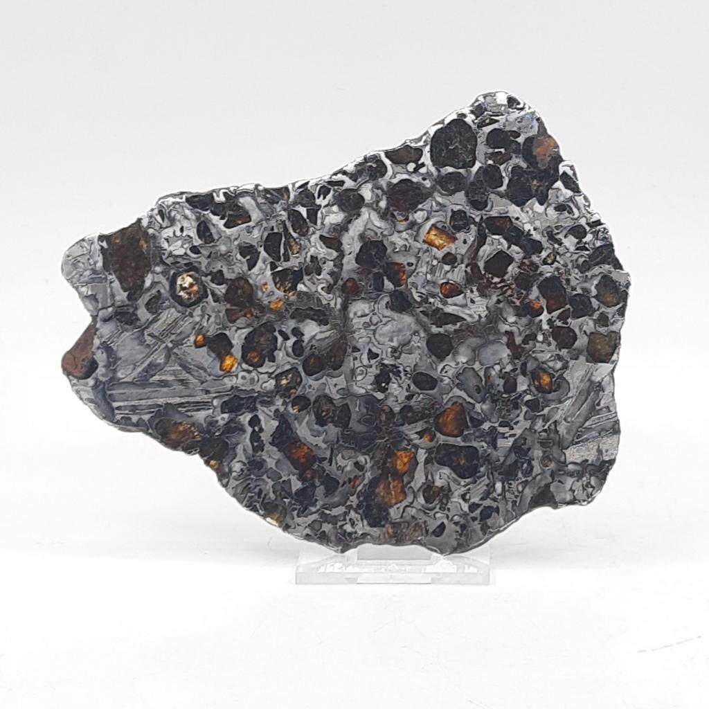 Пластина, метеорит палласит, Сеймчан, Магаданская область, Россия