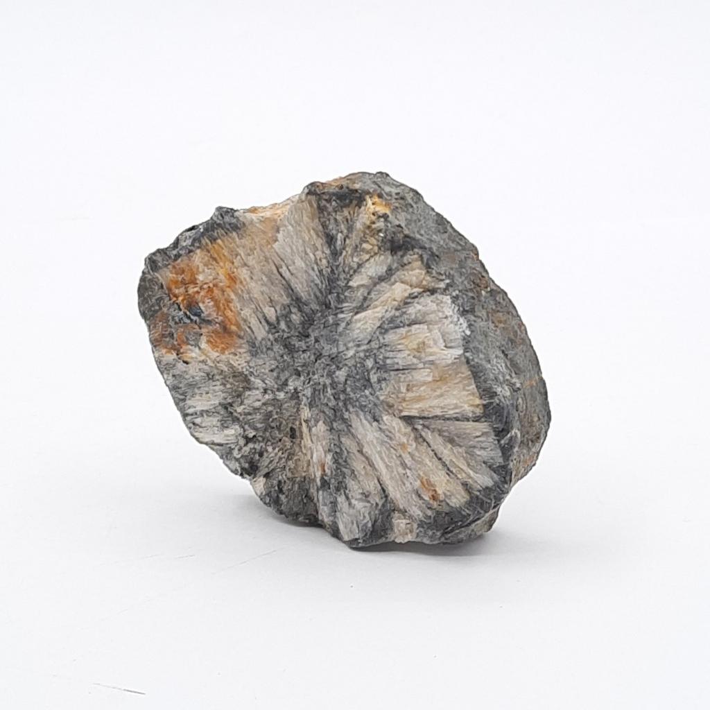 *Целестин на аргиллите - "хризантемовый камень"