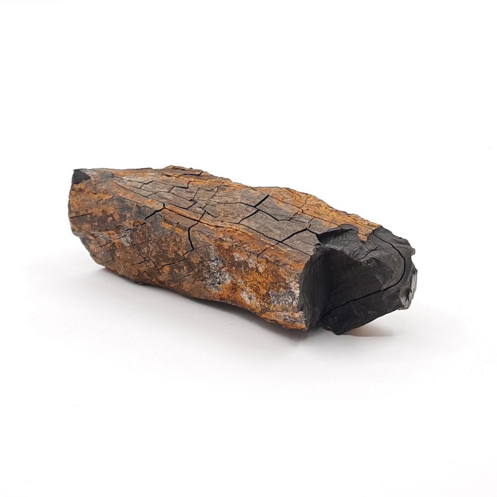 Окаменелое дерево, Индонезия