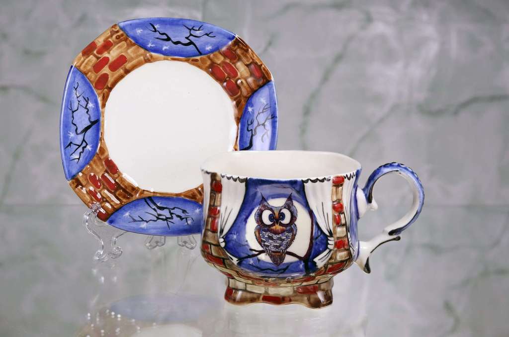 Handmade porcelain tea cup and saucer “Owl. Night"