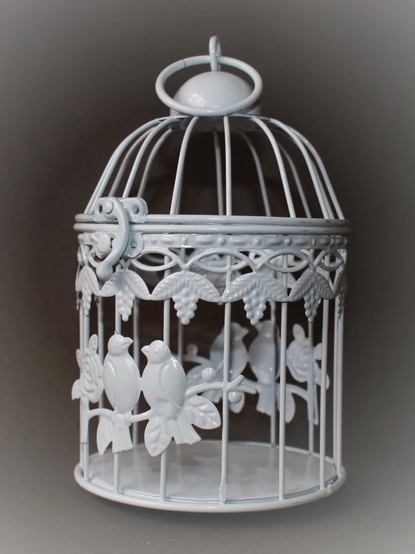 Клетка средняя, 20 см