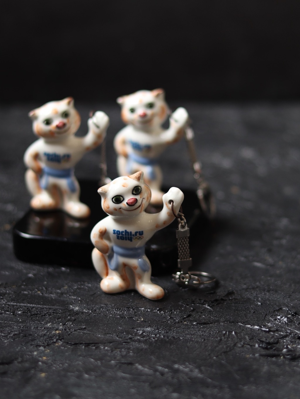 Леопард Сочи 2014