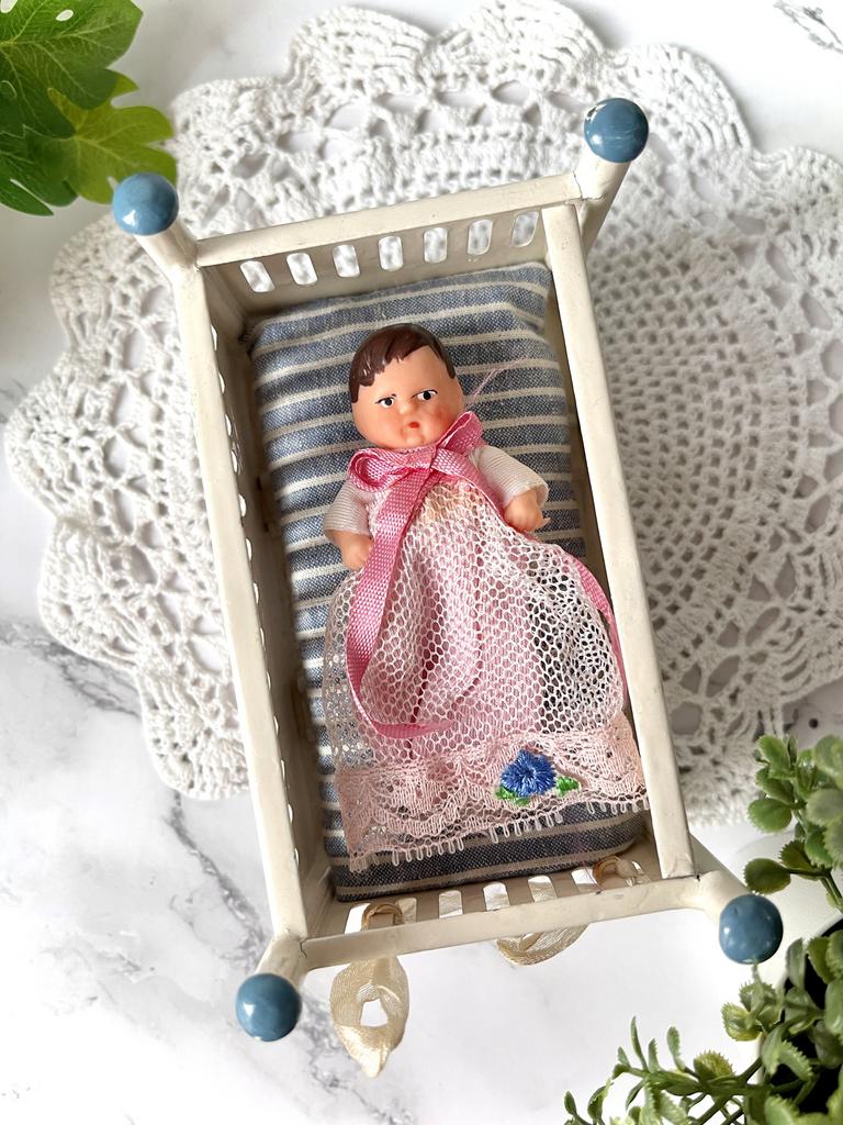 Пинеточник в родном, 6.5 см