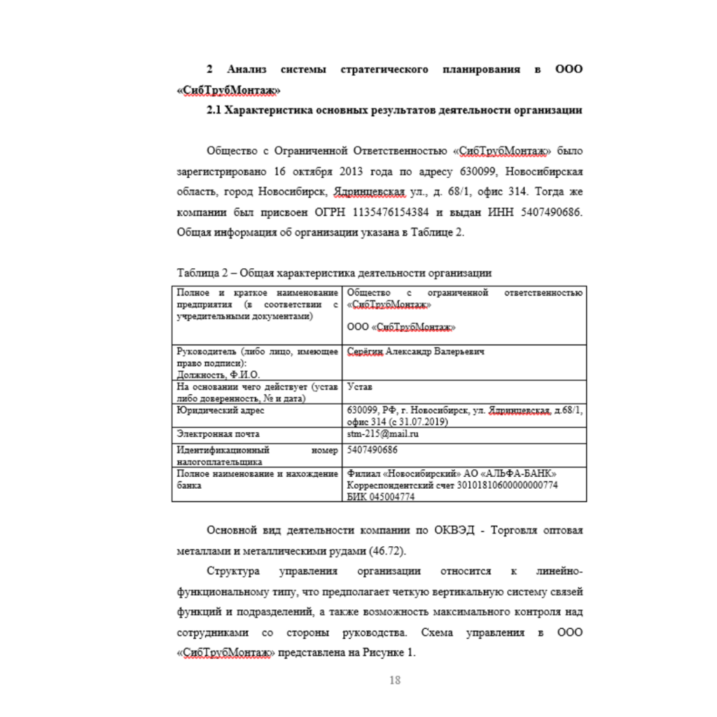 Разработка системы стратегического планирования в торговой организации