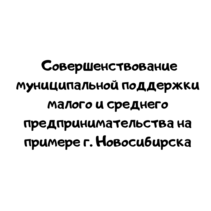 Совершенствование муниципальной поддержки малого и среднего предпринимательства на примере г. Новосибирска