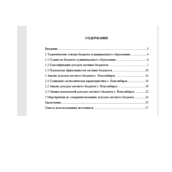 Анализ доходов местного бюджета на примере г. Новосибирск