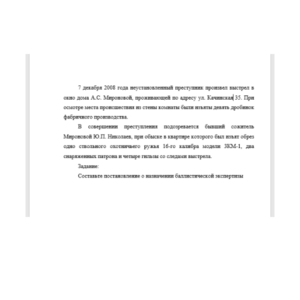 7 декабря 2008 года неустановленный преступник произвел выстрел в окно дома