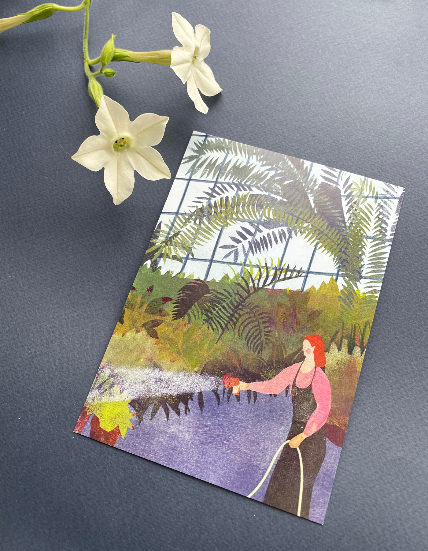 Открытка "Тропики"