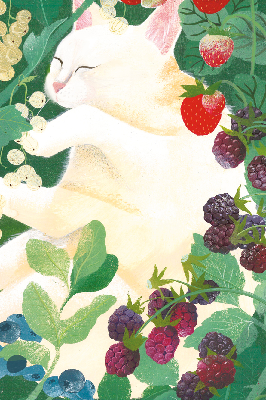Постер с котом в ягодах. Иллюстратор Марина Потанина