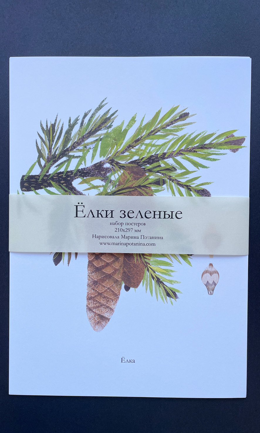 "Елки зеленые"