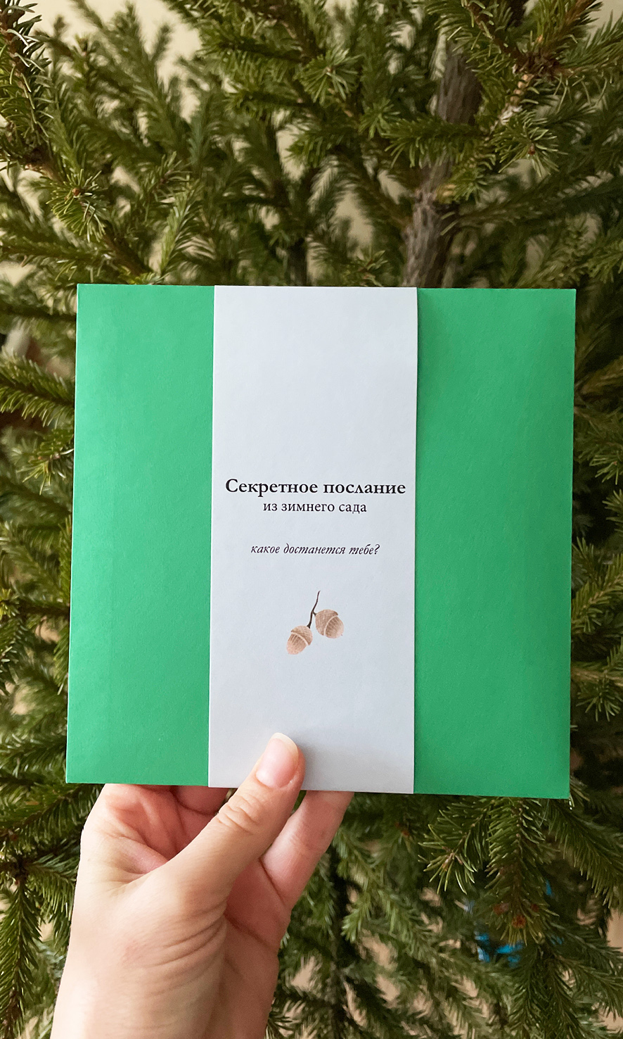 Секретное послание из зимнего  сада