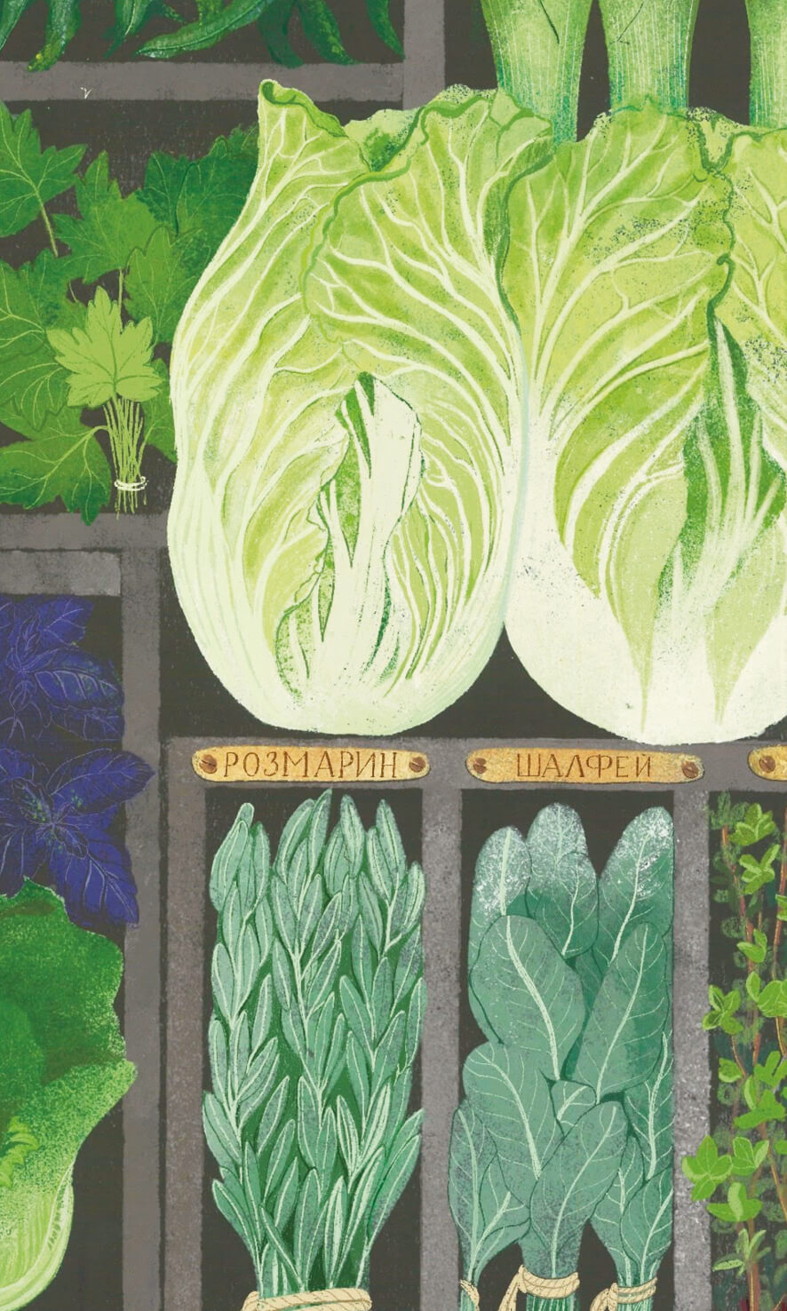 Постер "Свежая зелень"