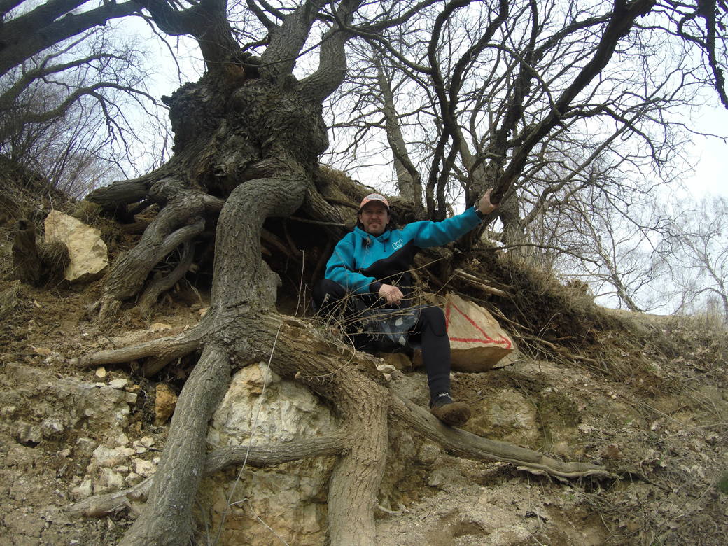 Осётр Протекино-Спас дощатый