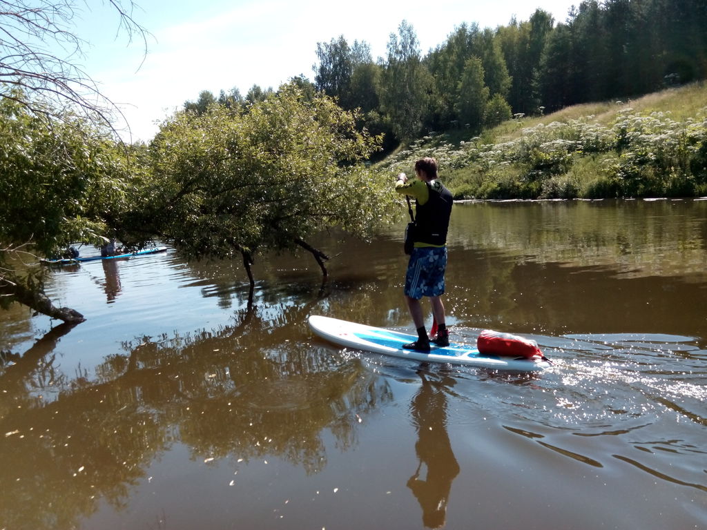Осётр Ливадия-Зарайск
