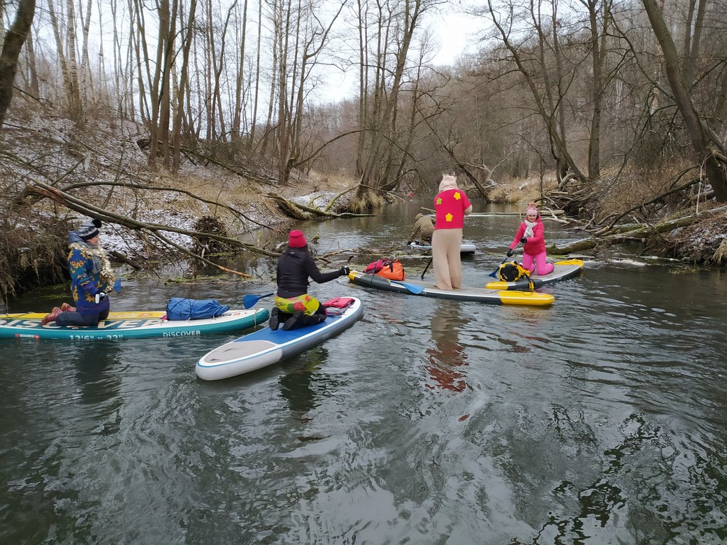 Вашана лайт