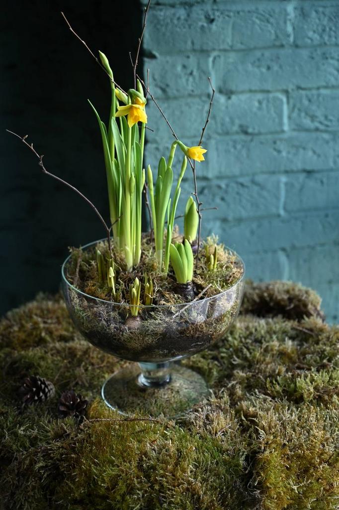 Композиция в стекле «Стефани»