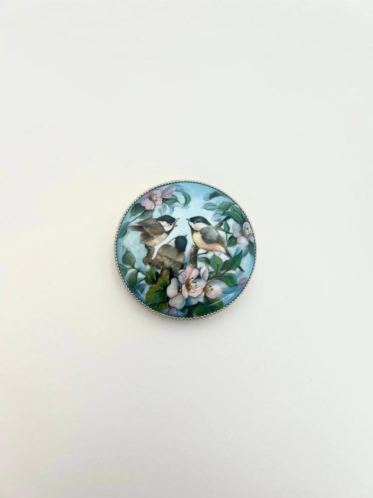 Зеркало Птицы