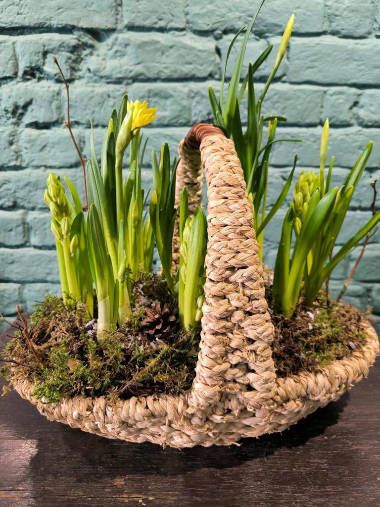 Луковичная композиция в корзине "Флорентина"