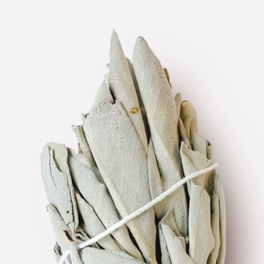 органический белый шалфей