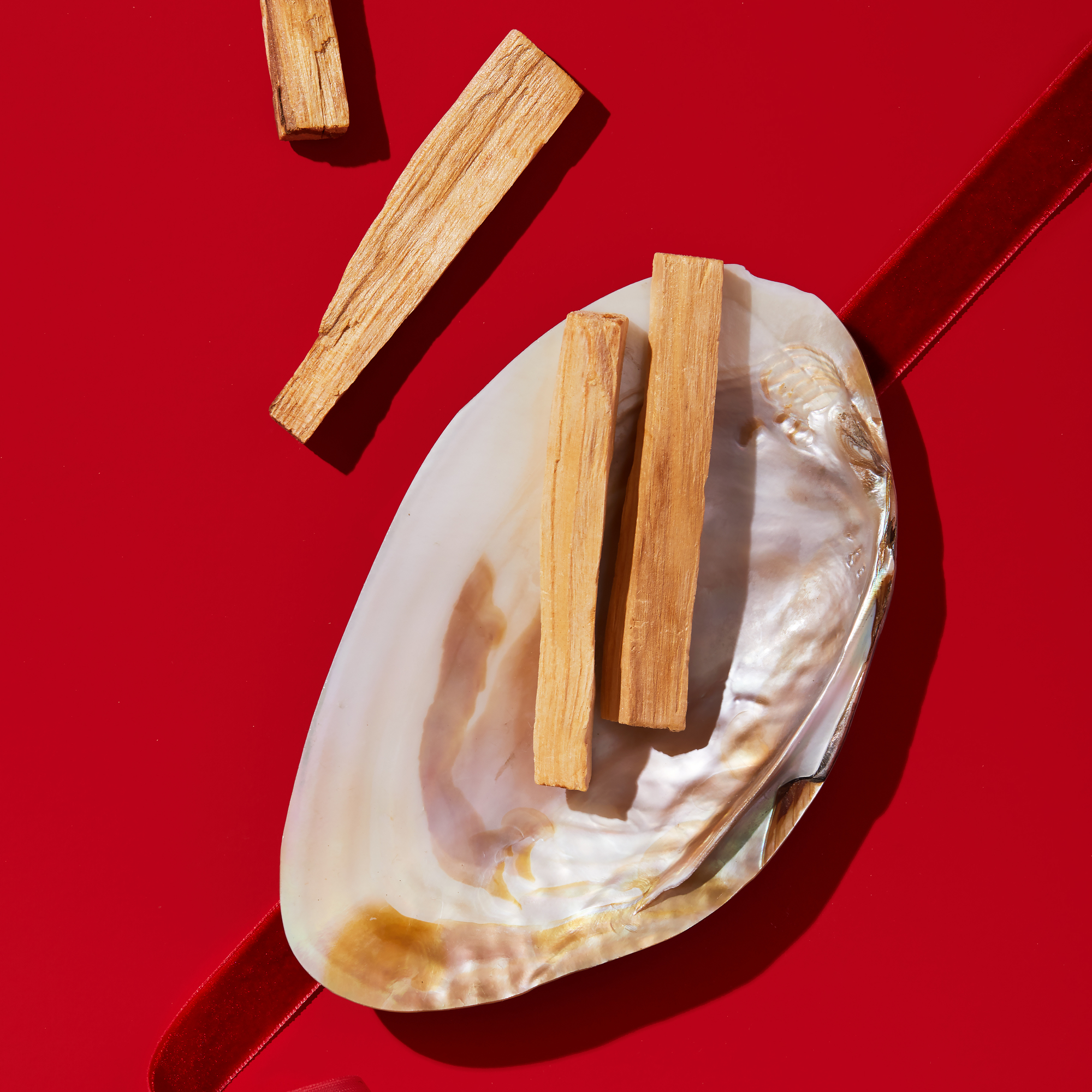 ракушка пепельница маргарита