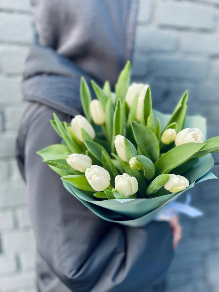 Тюльпаны белые 15шт