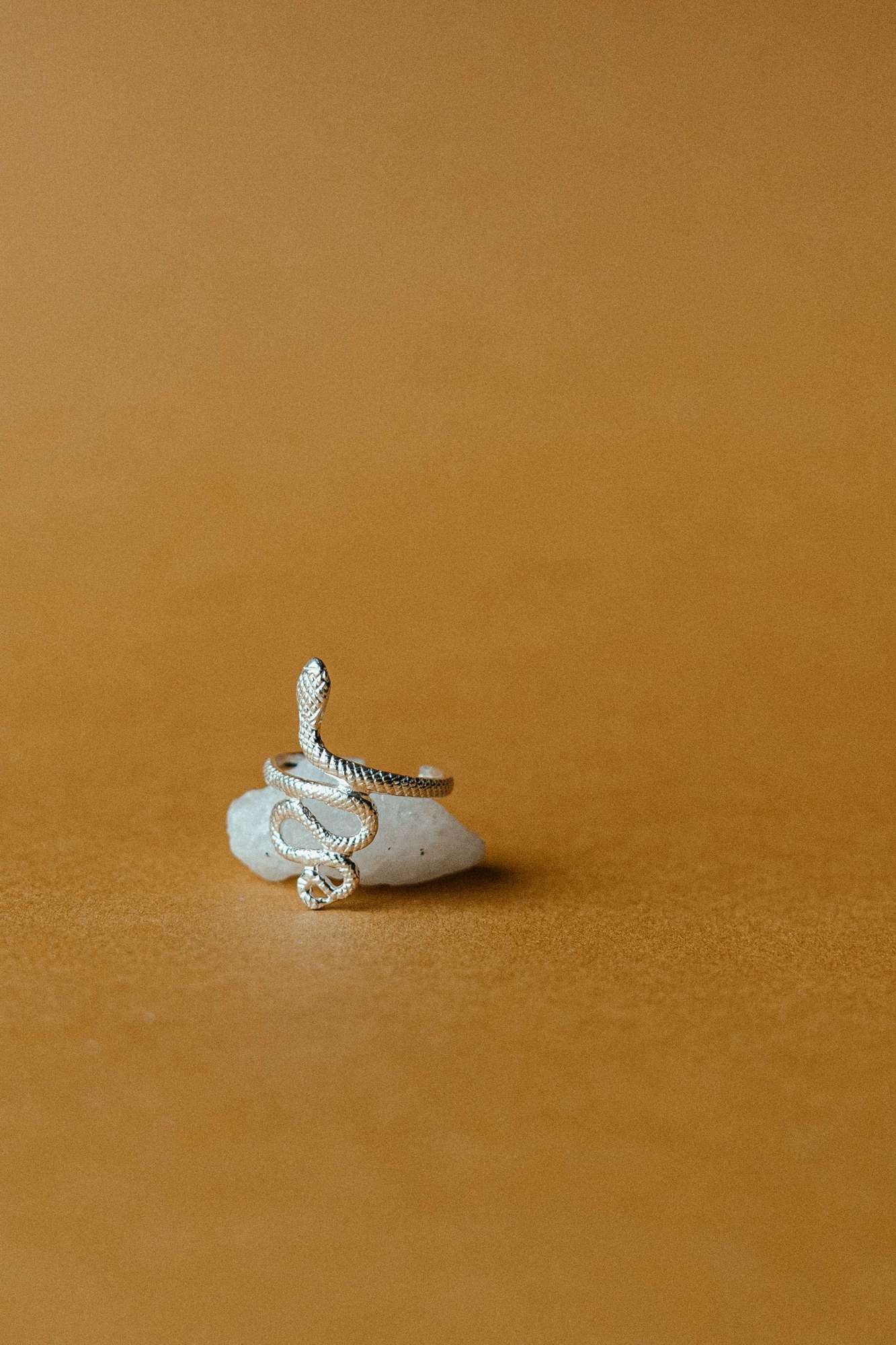 Кольцо Змея