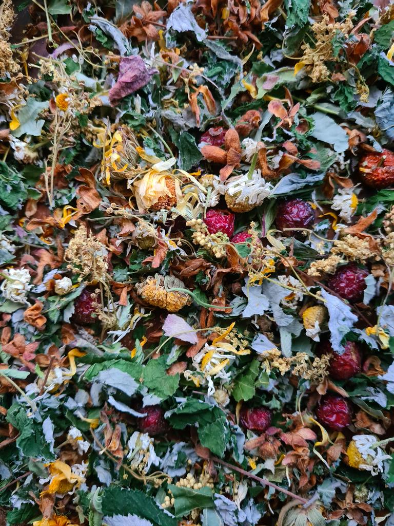 СБОР ОТ ОРВ