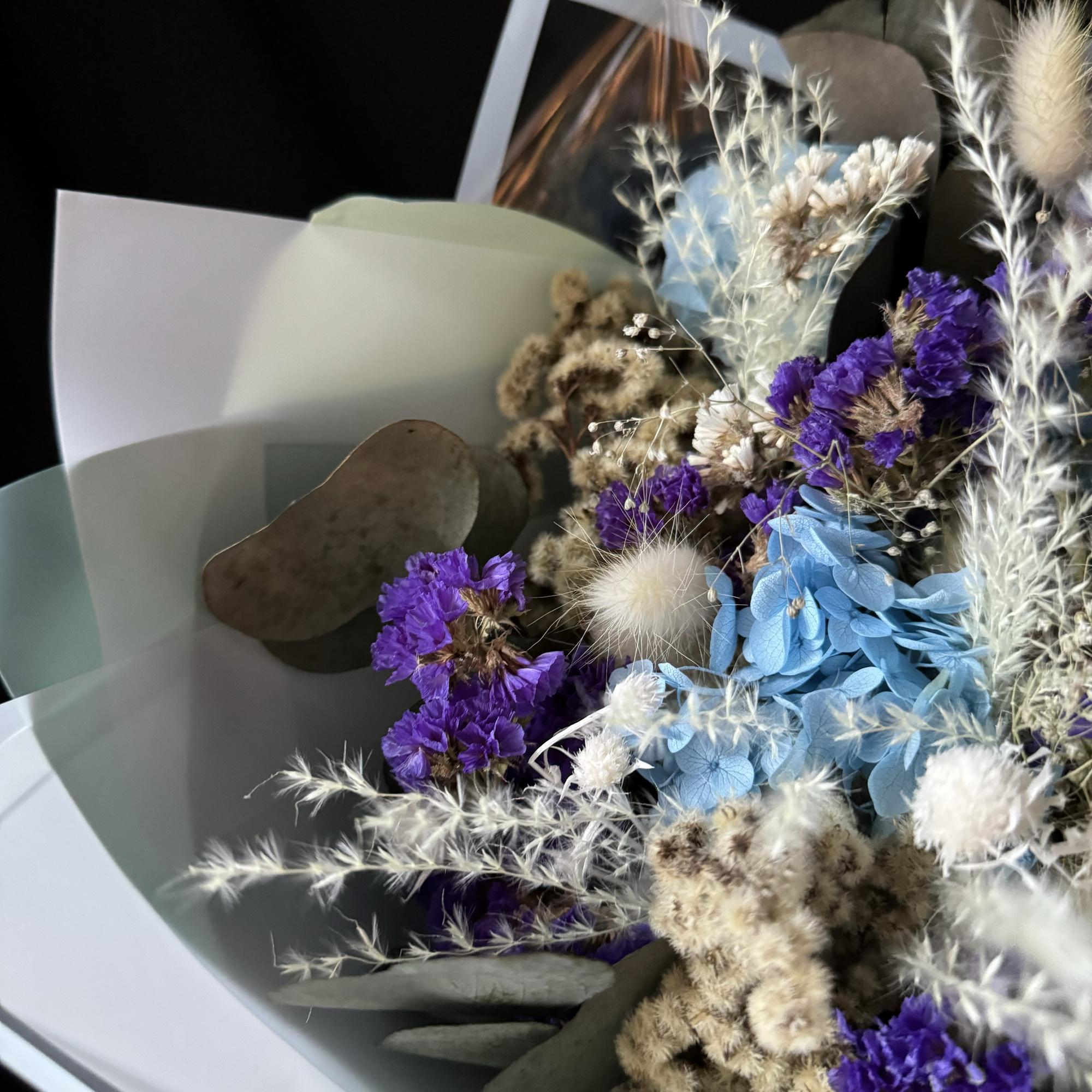 Сухоцветы 264