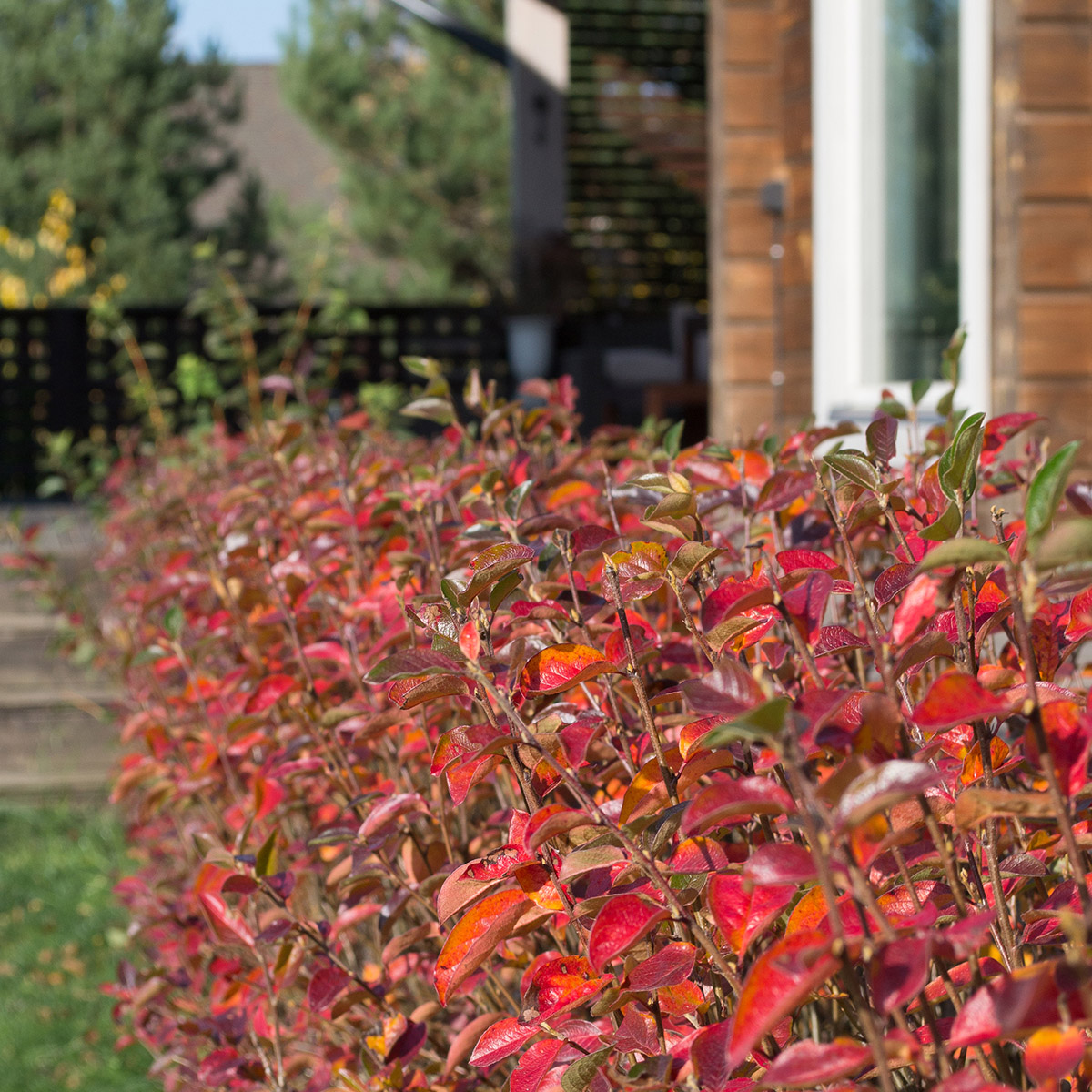 Тоник успокаивающий, увлажняющий, осветляющий, сокращающий поры с ниацинамидом