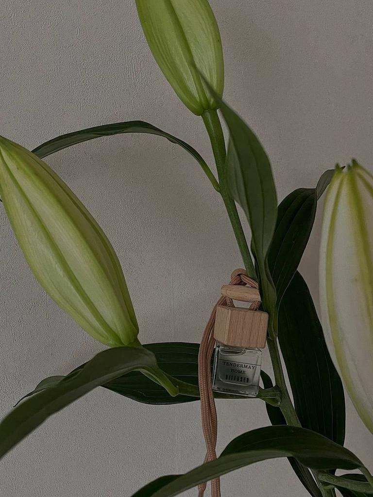 Автопарфюм СВЕЖЕСКОШЕННАЯ ТРАВА 7мл