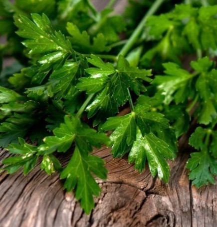 Гидролат петрушки