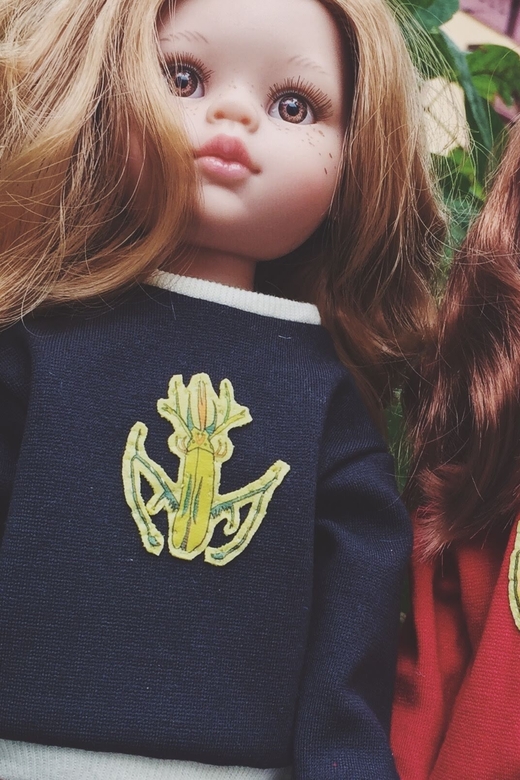 свитшот для куклы "Вымышленный жук"