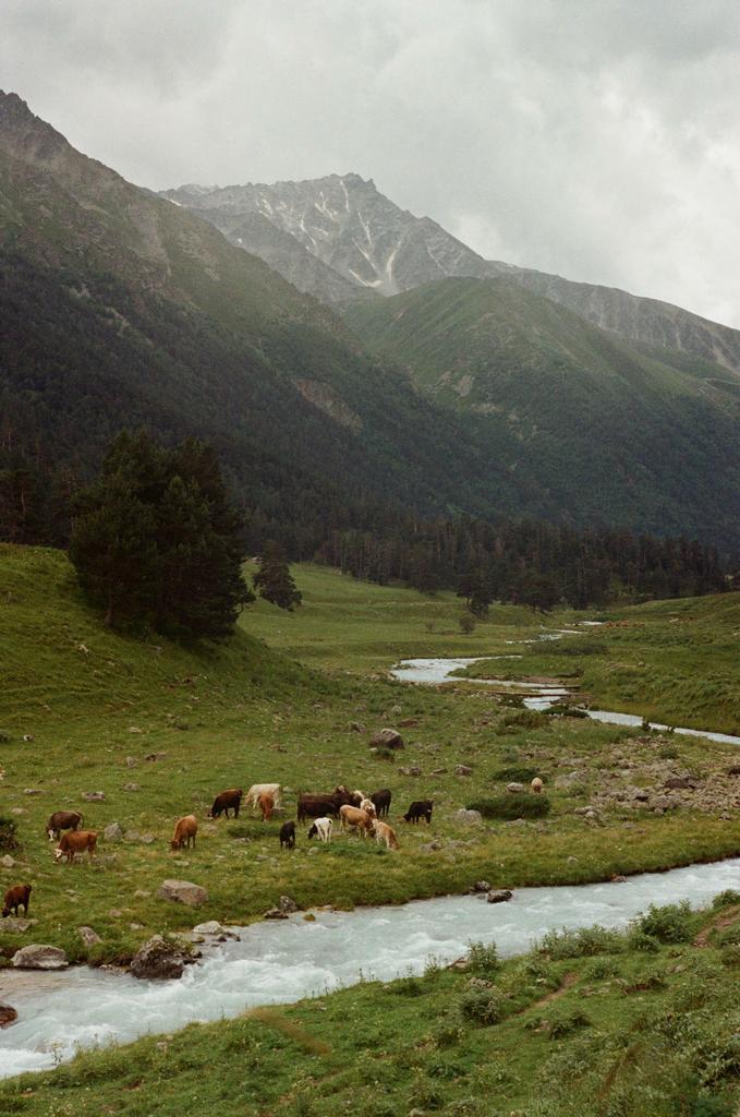 Кавказ сет 1