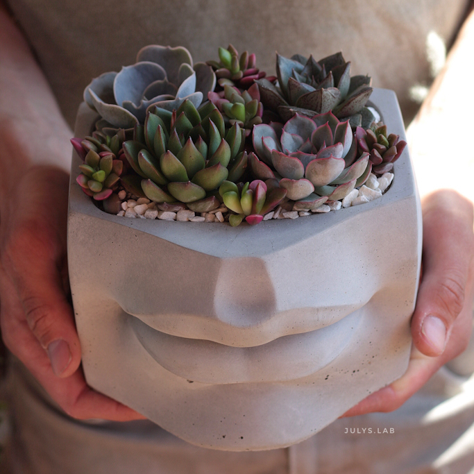 Садик в кашпо Губы Лофт