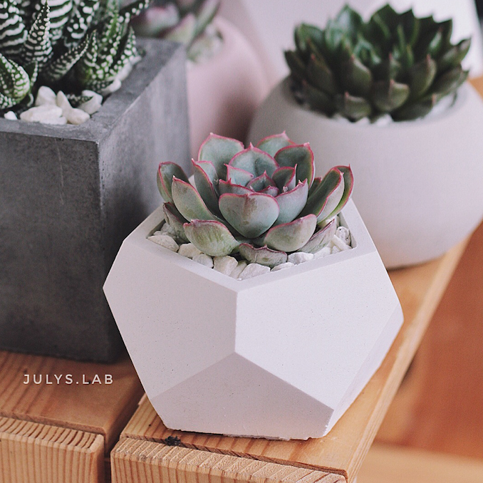 Мистери в Стоуне