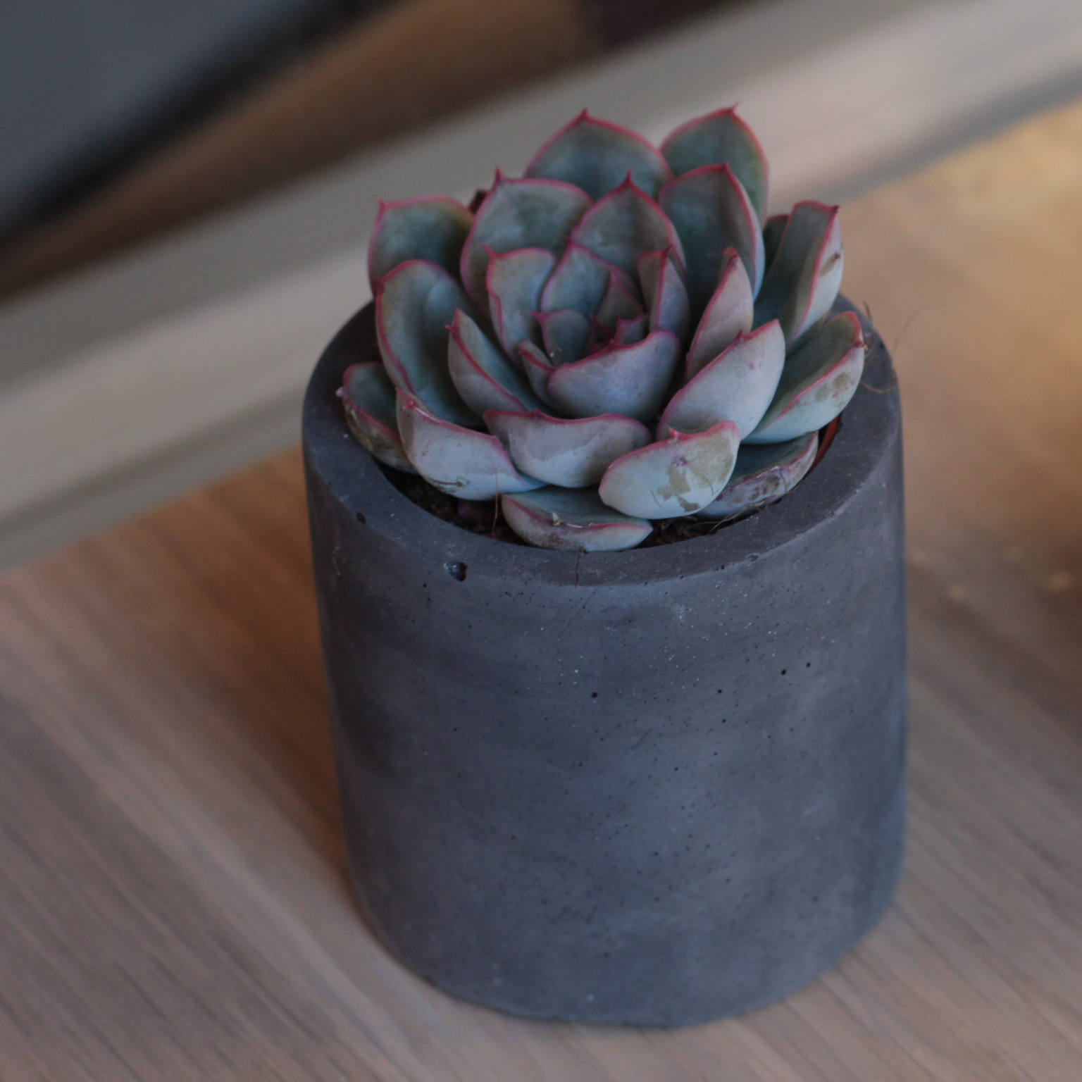 Мистери в цилиндре