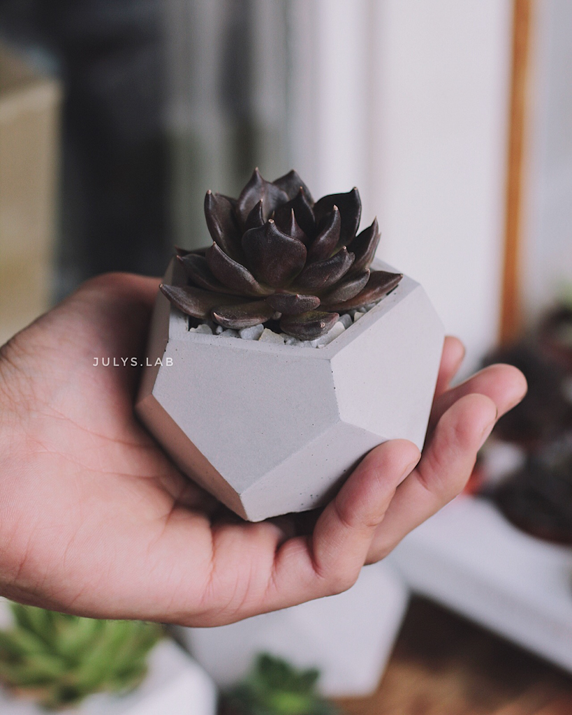 Чёрный Принц в Стоуне