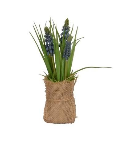 Мускари в джутовом мешочке
