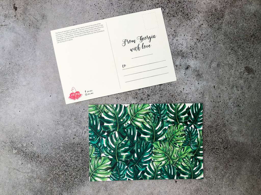 Открытка "Монстера"/ Postcard "Monstera"