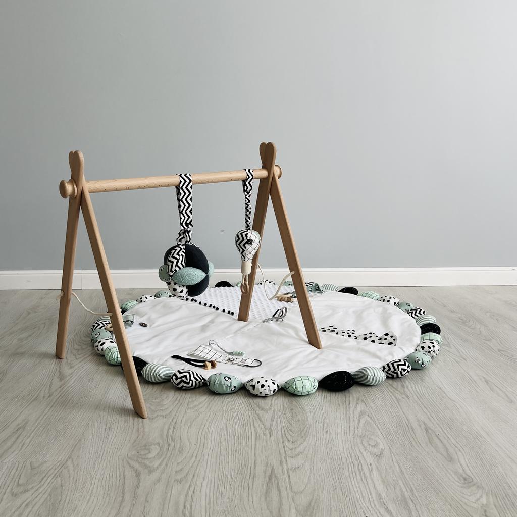 Развивающая среда "Панды"