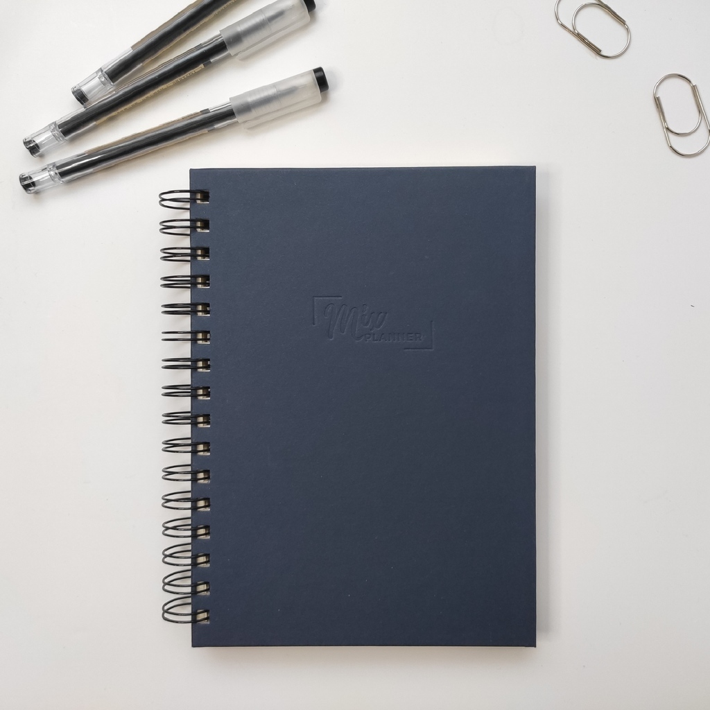 Планер "Синяя ночь"