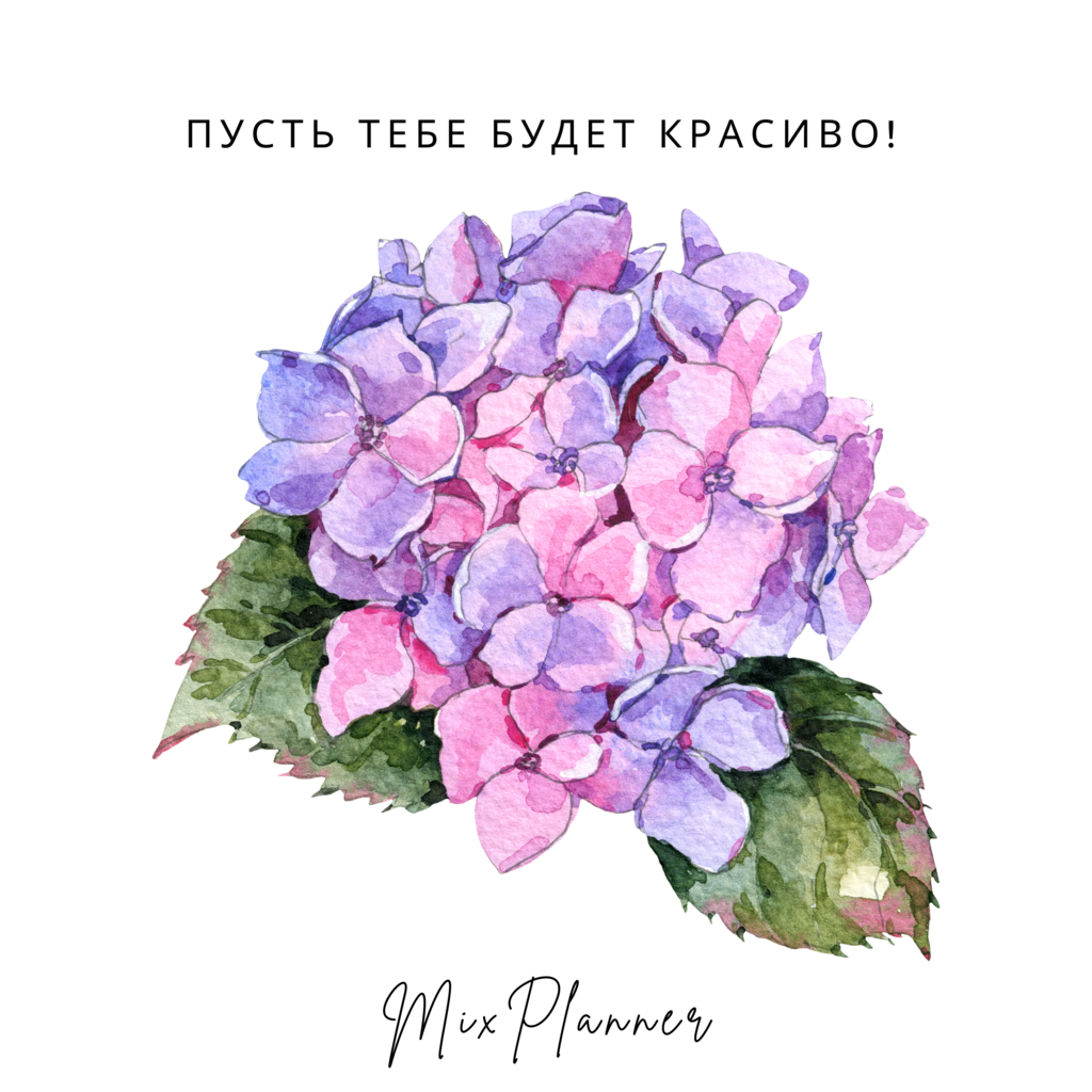 Открытка "гортензия"