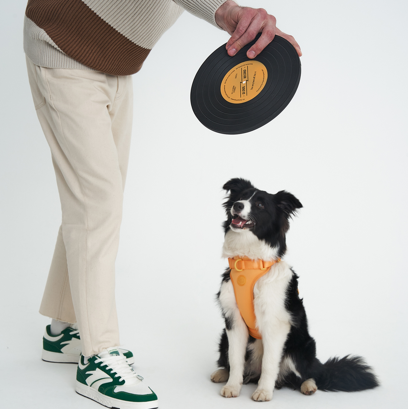 Летающая пластинка (фрисби)