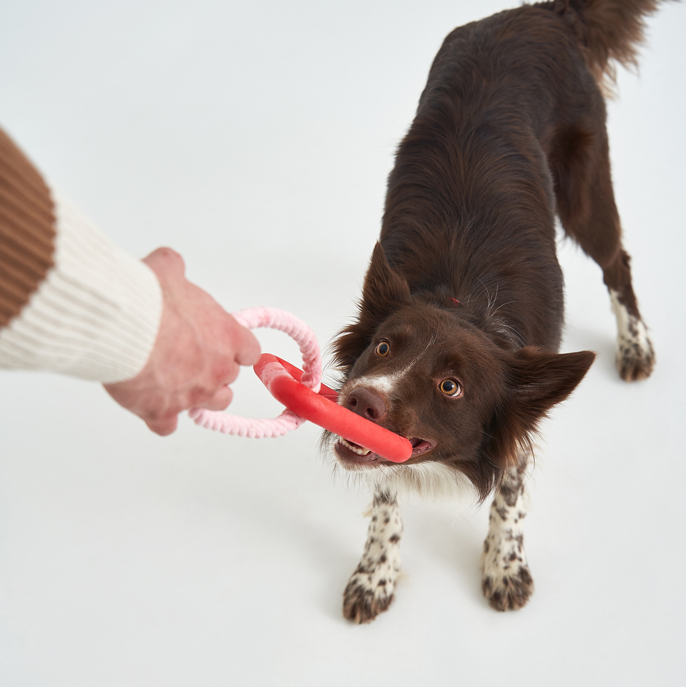 Не Просто Треугольник