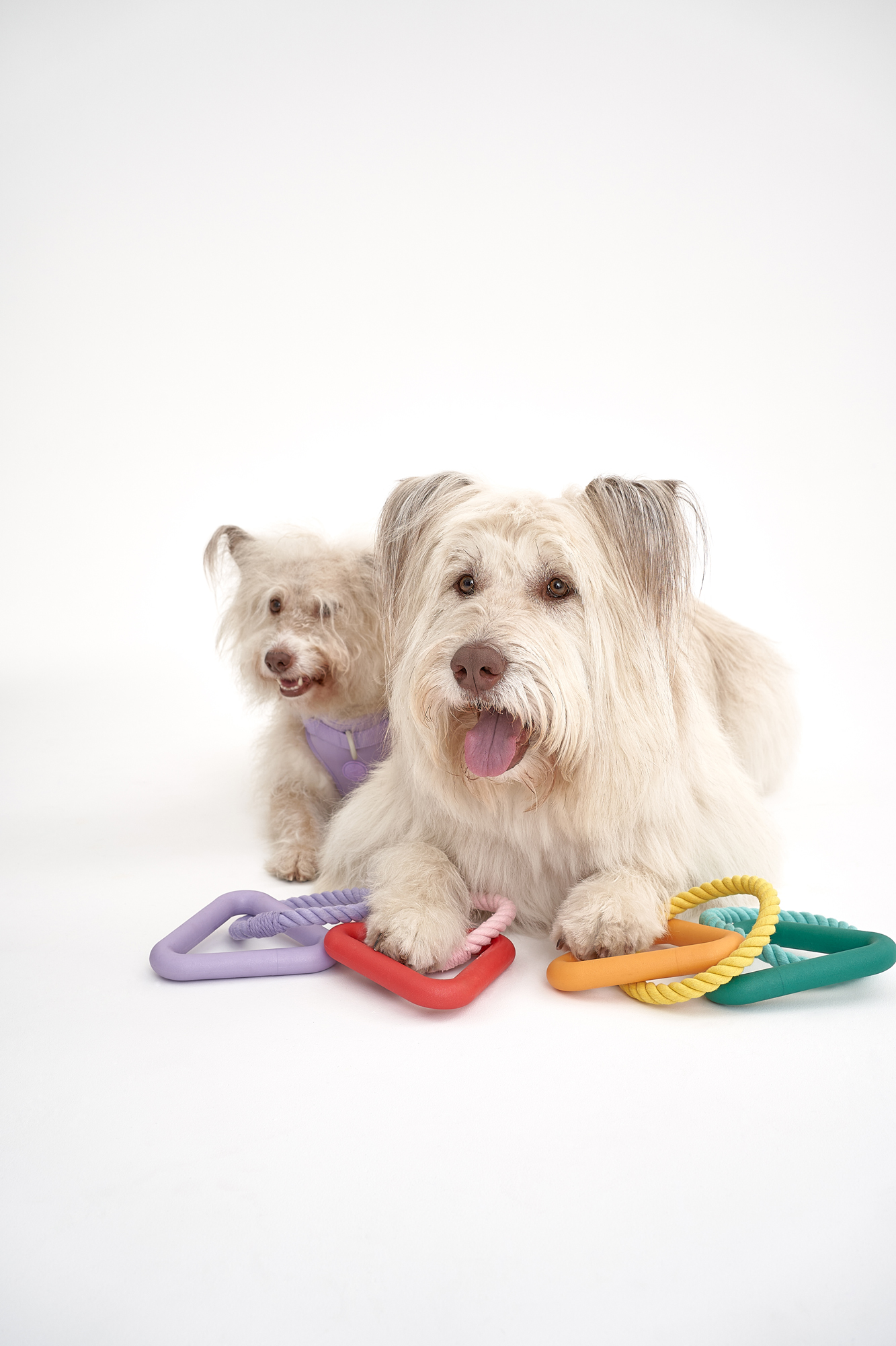 Не Просто Треугольник