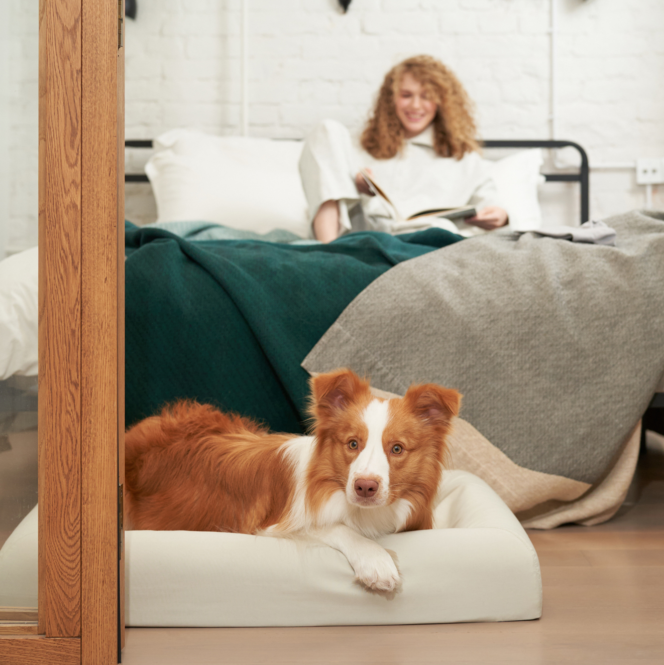 СПОКИ, ортопедическая кровать для собак с эффектом памяти