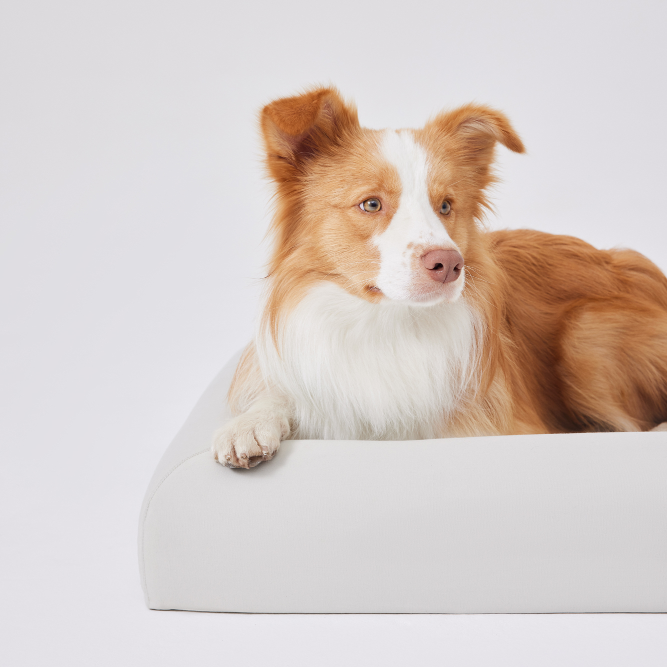 Ортопедическая кровать для собак из пены с эффектом памяти