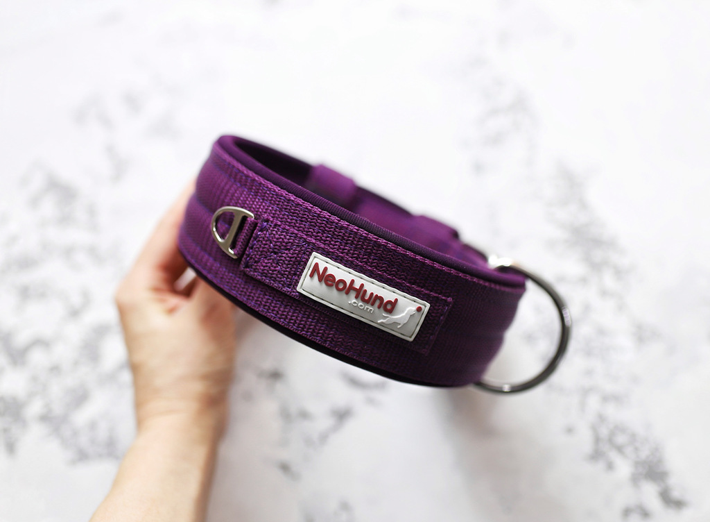 Ошейник For Motion, слива/слива