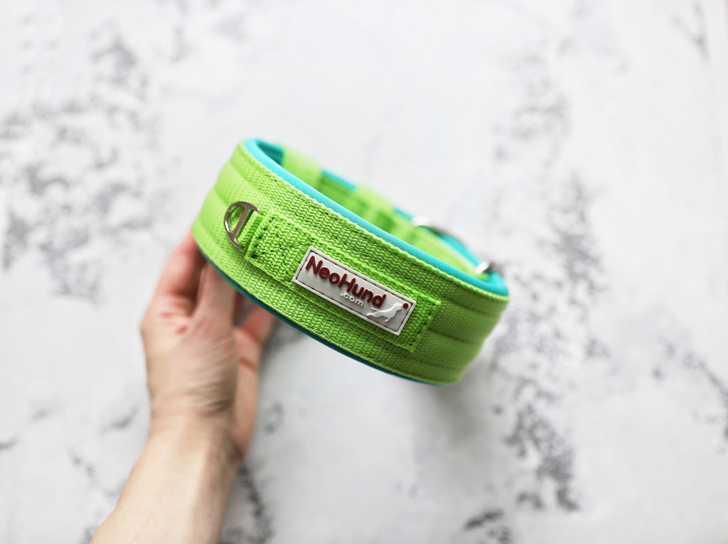 Ошейник For Motion, салатовый/мятный