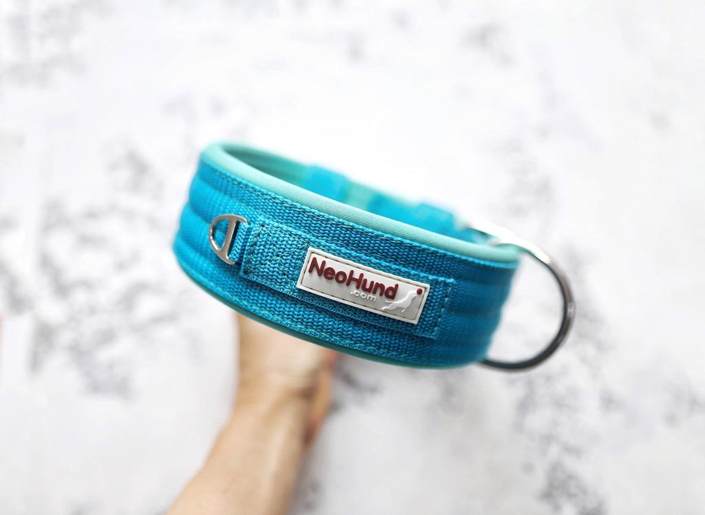 Ошейник For Motion, бирюзовый/мятный